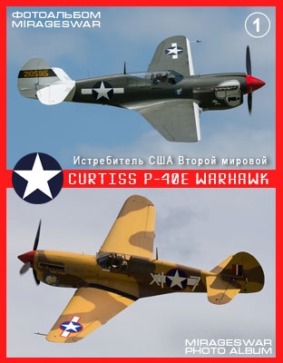  - Curtiss P-40E Warhawk (1 )