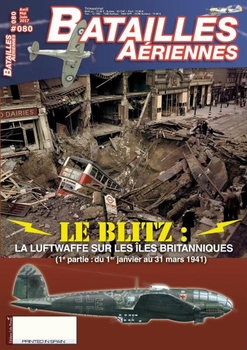 Batailles Aeriennes 2017-04/06 (80)