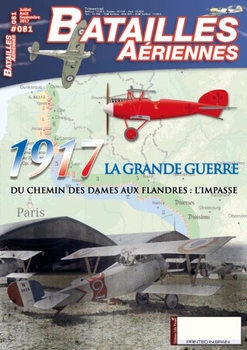 Batailles Aeriennes 2017-07/09 (81)