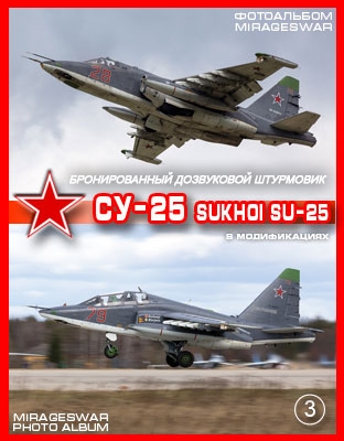   - -25 (Sukhoi Su-25) (3 )