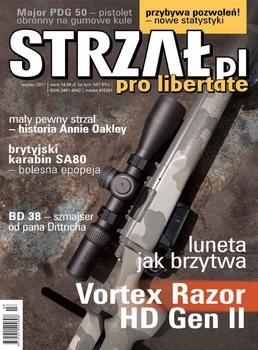 Strzal 2017-03