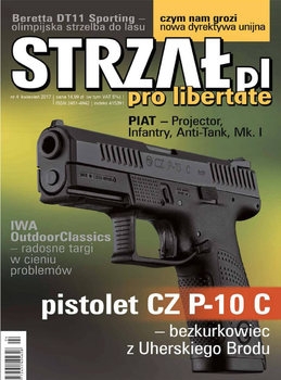 Strzal 2017-04
