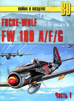 Focke-Wulf FW 190 A/F/G ( 1) (   80)