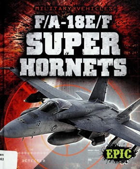 F/A-18 E/F Super Hornets