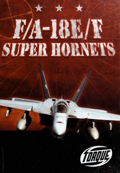 F/A-18 E/F Super Hornets