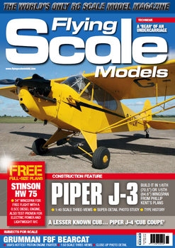 Flying Scale Models 2019-11
