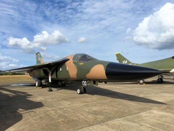 F-111C Walk Around