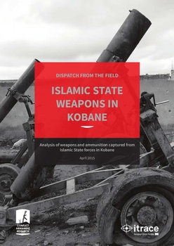 Islamic State Weapons in Kobane