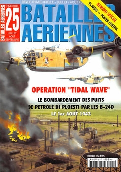 Batailles Aeriennes 2003-07/09 (25)