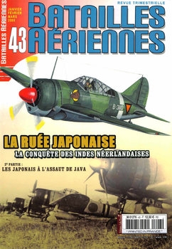 Batailles Aeriennes 2008-01/03 (43)
