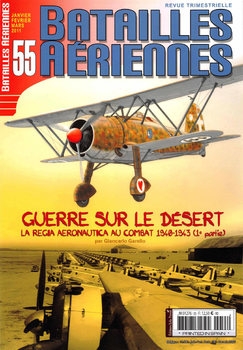 Batailles Aeriennes 2011-01/03 (55)