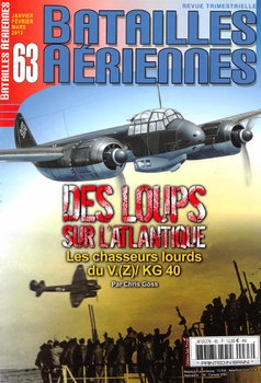 Batailles Aeriennes 2013-01/03 (63)