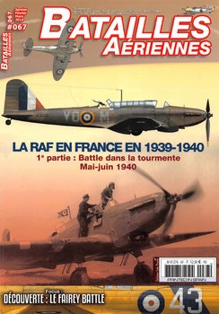 Batailles Aeriennes 2014-01/03 (67)