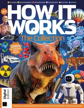The Collection (How It Works 2021)