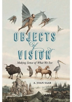 Objects of Vision: Making Sense of What We See