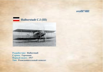    Halberstadt C.I (III)