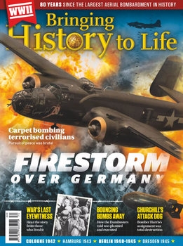 Firestorm over Germany (Bringing History to Life)