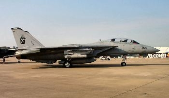 F-14B Tomcat Walk Around