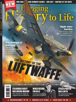 The History of the Luftwaffe (Bringing History to Life)