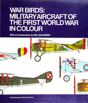 War Birds: Military Aircraft of the First World War in Colour