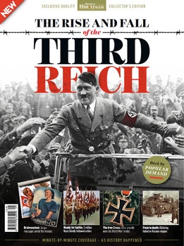 The Rise and Fall of the Third Reich (Bringing History to Life)