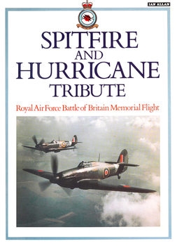 Spitfire and Hurricane Tribute